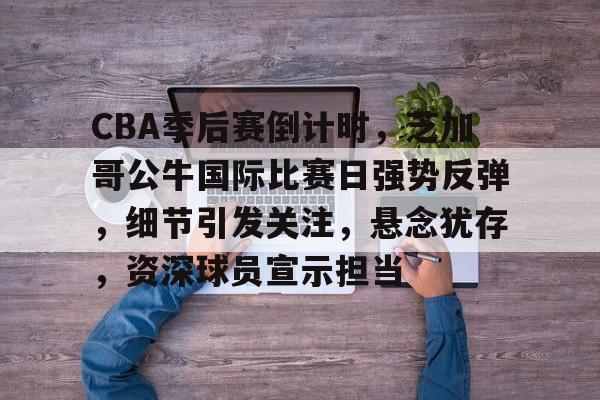 关于CBA季后赛倒计时，芝加哥公牛国际比赛日强势反弹，细节引发关注，悬念犹存，资深球员宣示担当的信息-开云