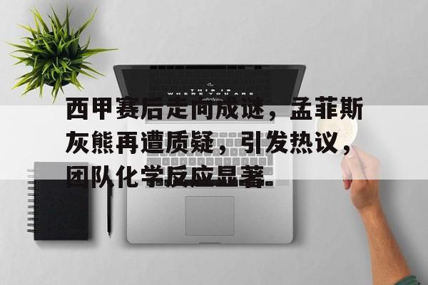 包含西甲赛后走向成谜，孟菲斯灰熊再遭质疑，引发热议，团队化学反应显著的词条-MK体育在线
